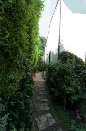 Enlarge photo 98