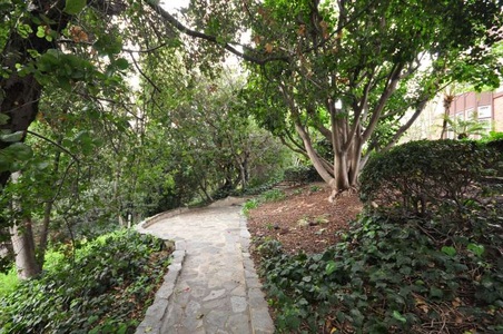 Enlarge photo 98