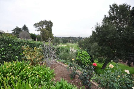 Enlarge photo 99