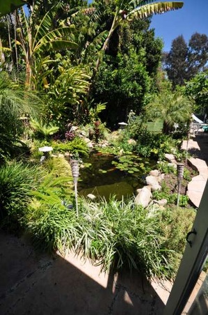 Enlarge photo 74