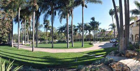 Enlarge photo 14