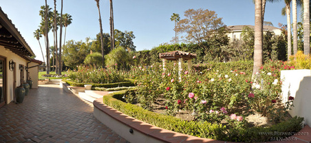 Enlarge photo 91