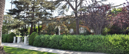 Enlarge photo 20