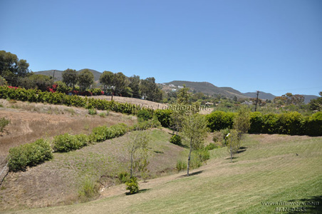 Enlarge photo 50