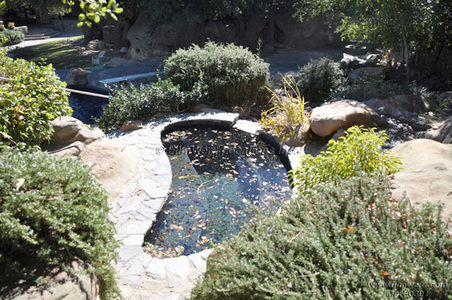 Enlarge photo 82
