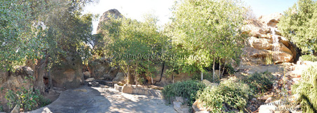 Enlarge photo 89