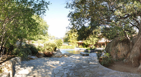 Enlarge photo 90