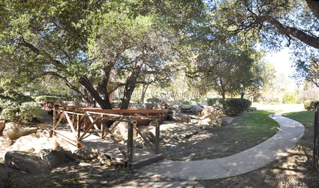 Enlarge photo 93