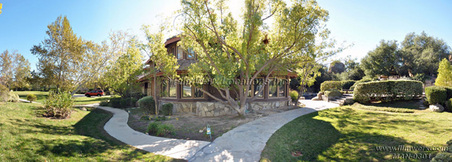 Enlarge photo 97