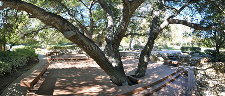 Enlarge photo 99