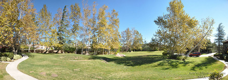 Enlarge photo 105