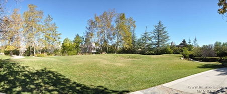 Enlarge photo 106