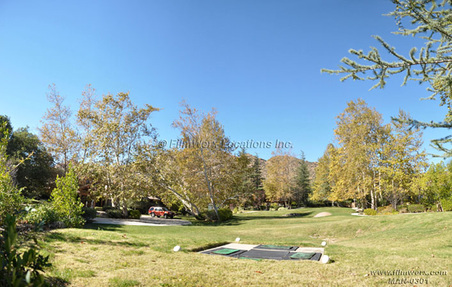 Enlarge photo 110