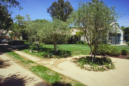 Enlarge photo 3