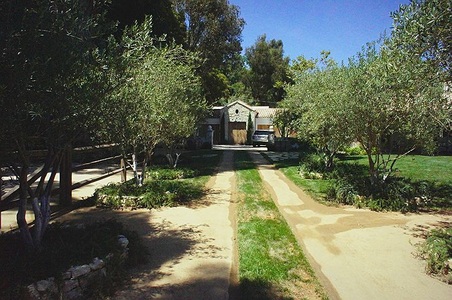 Enlarge photo 4
