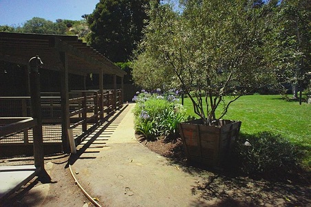 Enlarge photo 7