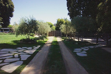 Enlarge photo 132