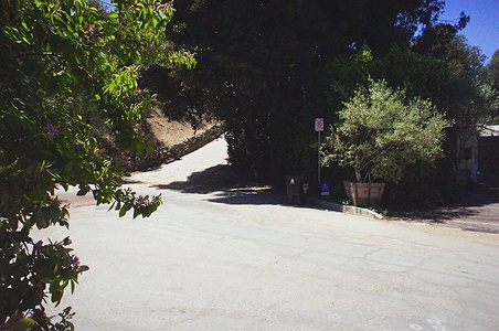 Enlarge photo 136