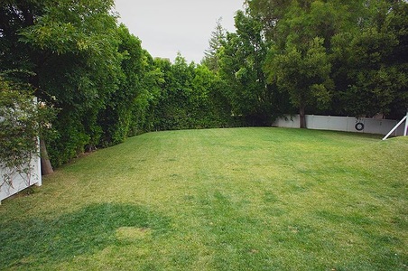 Enlarge photo 74