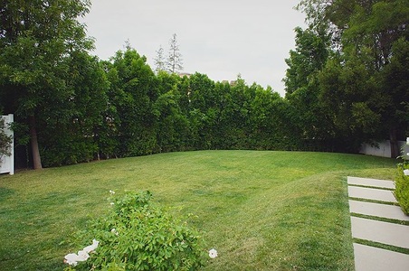 Enlarge photo 75