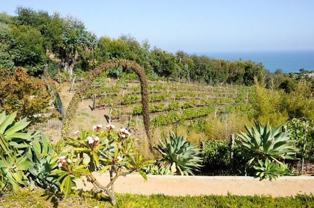 Enlarge photo 58