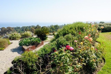 Enlarge photo 60