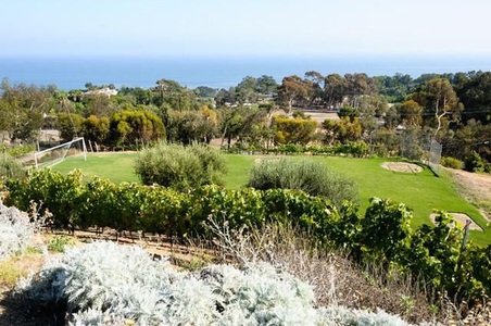 Enlarge photo 61
