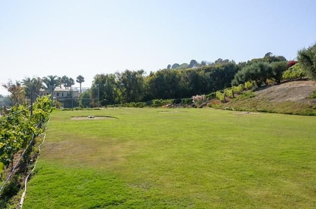 Enlarge photo 70