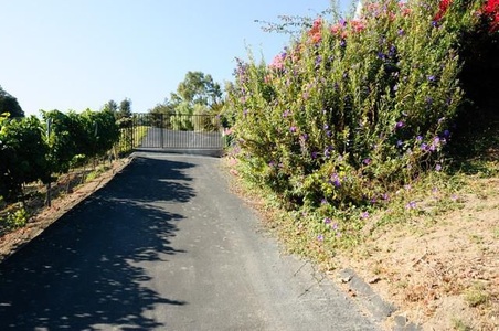 Enlarge photo 74