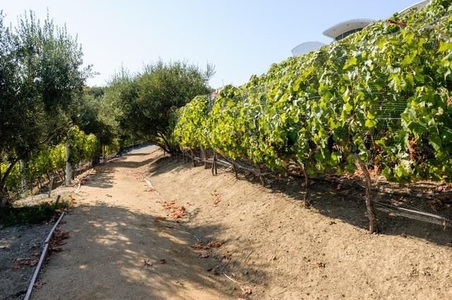 Enlarge photo 77