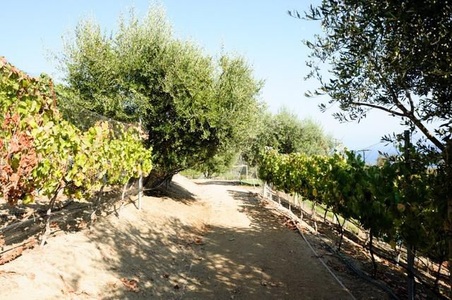 Enlarge photo 78