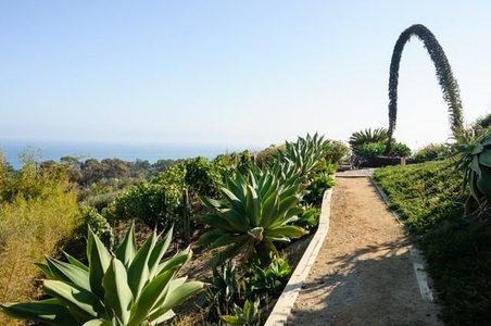 Enlarge photo 83