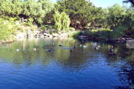 Enlarge photo 62