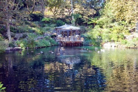 Enlarge photo 63