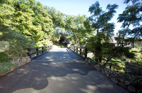 Enlarge photo 81