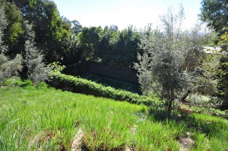 Enlarge photo 72