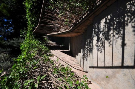 Enlarge photo 103