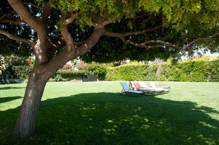 Enlarge photo 40