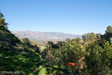Enlarge photo 78