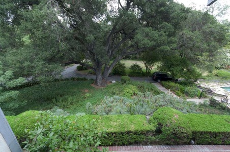 Enlarge photo 79