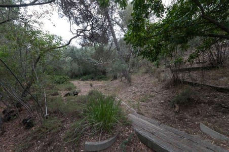 Enlarge photo 95