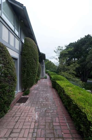 Enlarge photo 113