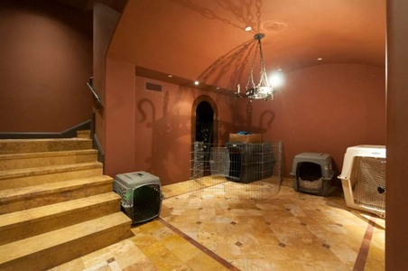 Enlarge photo 60