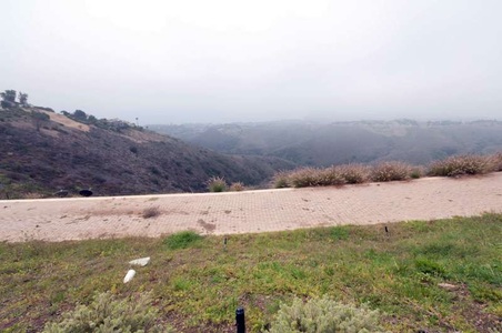 Enlarge photo 221