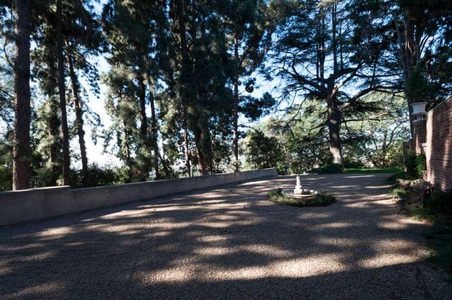 Enlarge photo 277