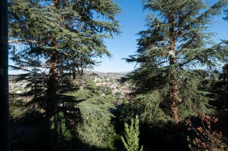 Enlarge photo 290