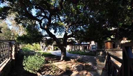 Enlarge photo 6