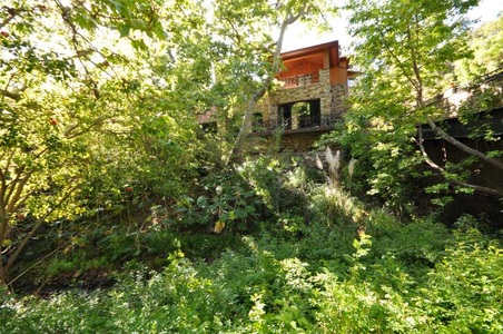 Enlarge photo 73