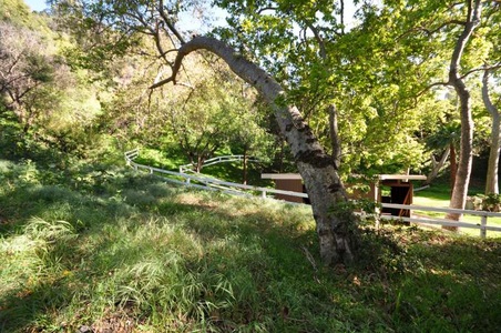 Enlarge photo 74
