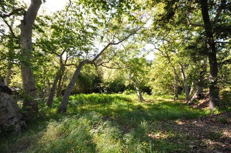 Enlarge photo 75